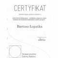Powiększ obraz: certificate 1