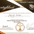 Powiększ obraz: certificate 7