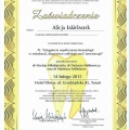 Powiększ obraz: certificate 27