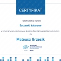 Powiększ obraz: certificate 37
