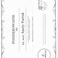 Powiększ obraz: certificate 41