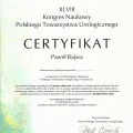 Powiększ obraz: certificate 6