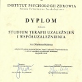 Powiększ obraz: certificate 3
