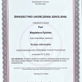 Powiększ obraz: certificate 1