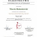 Powiększ obraz: certificate 3