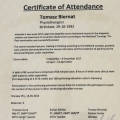 Powiększ obraz: certificate 6