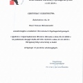 Powiększ obraz: certificate 19