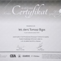 Powiększ obraz: certificate 31
