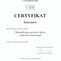 Powiększ obraz: certificate 3