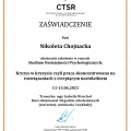 Powiększ obraz: certificate 2