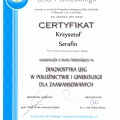 Powiększ obraz: certificate 18