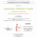 Powiększ obraz: certificate 8
