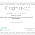 Powiększ obraz: certificate 80