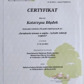 Powiększ obraz: certificate 2