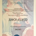 Powiększ obraz: certificate 52