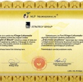 Powiększ obraz: certificate 11