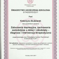 Powiększ obraz: certificate 15