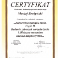 Powiększ obraz: certificate 33