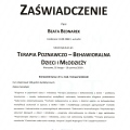 Powiększ obraz: certificate 1