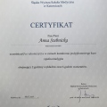 Powiększ obraz: certificate 5