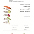 Powiększ obraz: certificate 4