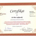 Powiększ obraz: certificate 9