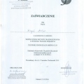 Powiększ obraz: certificate 9
