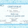 Powiększ obraz: certificate 20