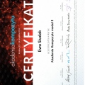 Powiększ obraz: certificate 1