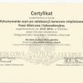 Powiększ obraz: certificate 9