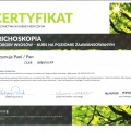 Powiększ obraz: certificate 25