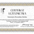 Powiększ obraz: certificate 16