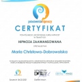 Powiększ obraz: certificate 25