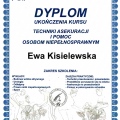 Powiększ obraz: certificate 13