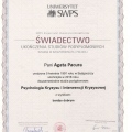 Powiększ obraz: certificate 2