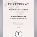 Powiększ obraz: certificate 2
