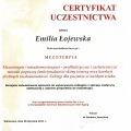 Powiększ obraz: certificate 3