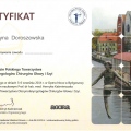 Powiększ obraz: certificate 9