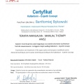 Powiększ obraz: certificate 13