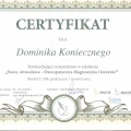 Powiększ obraz: certificate 8
