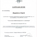 Powiększ obraz: certificate 33