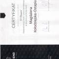 Powiększ obraz: certificate 6