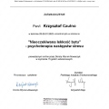 Powiększ obraz: certificate 1