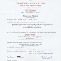 Powiększ obraz: certificate 13