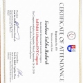 Powiększ obraz: certificate 8