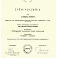 Powiększ obraz: certificate 2