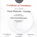 Powiększ obraz: certificate 42