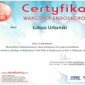 Powiększ obraz: certificate 11