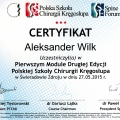 Powiększ obraz: certificate 9