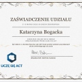 Powiększ obraz: certificate 3